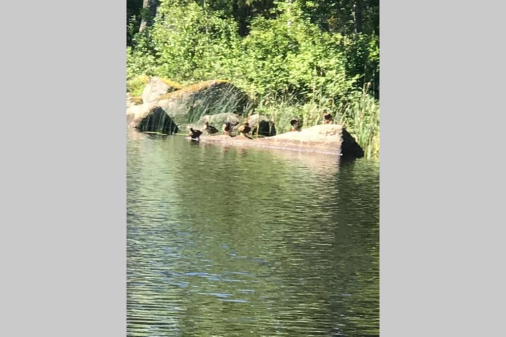 Vacker Hus I Naturen Fröseke Esterno foto